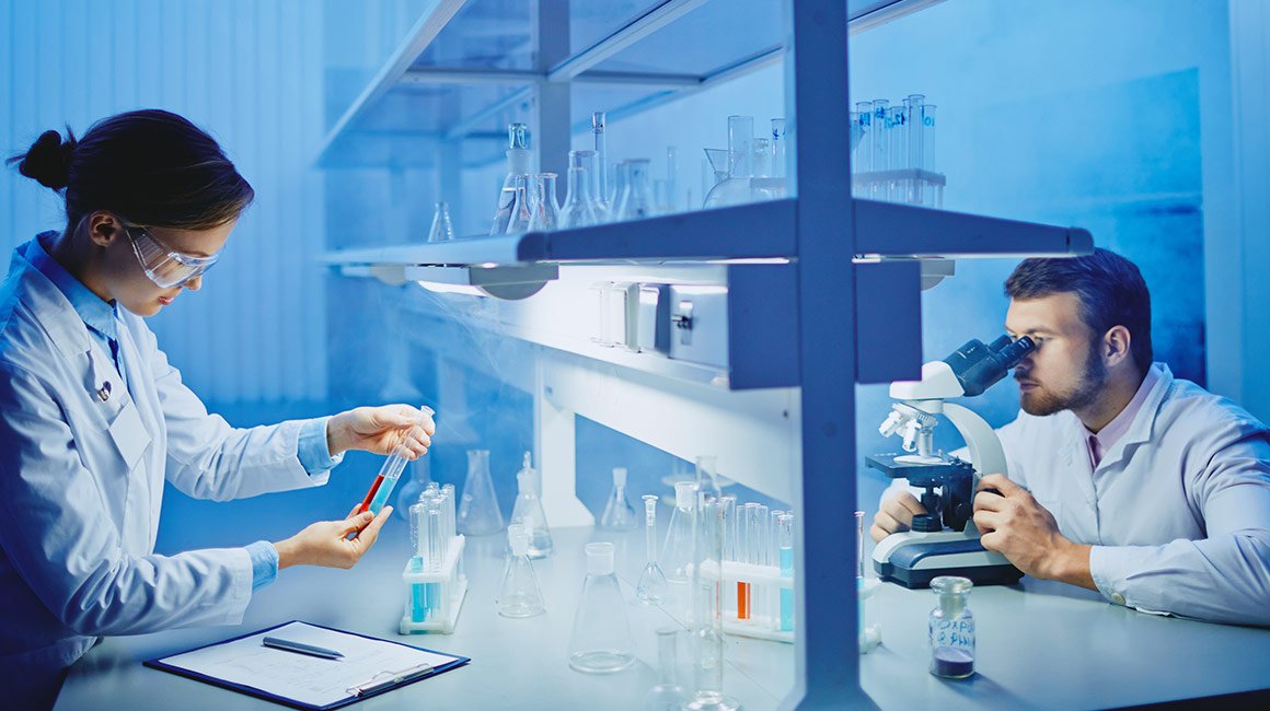 معرض الصور 3